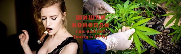 дживик Чегем
