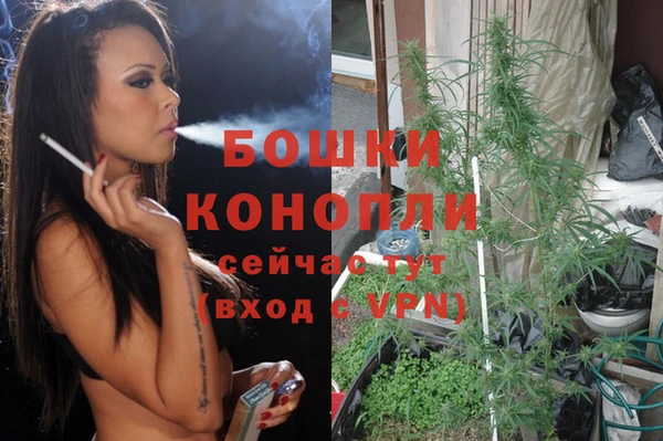 соль курить ск Каменка