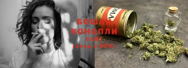 стафф Карпинск