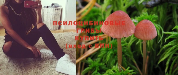 2c-b Чекалин
