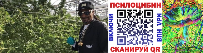 Галлюциногенные грибы Cubensis  Купить  Любим 